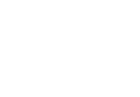 PANI PITT